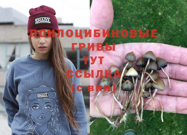 твердый Валуйки