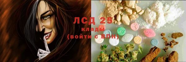 трава Новокубанск