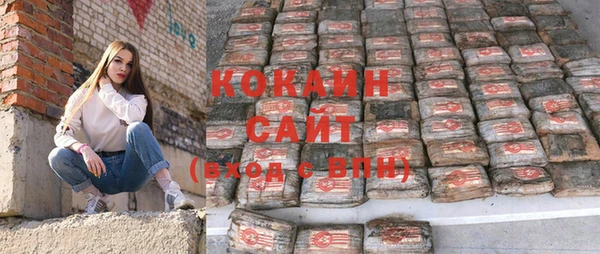 стаф Новозыбков