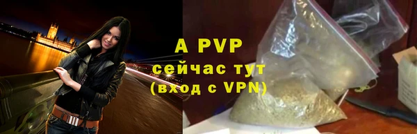 винт Няндома