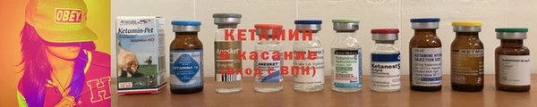 стаф Новозыбков