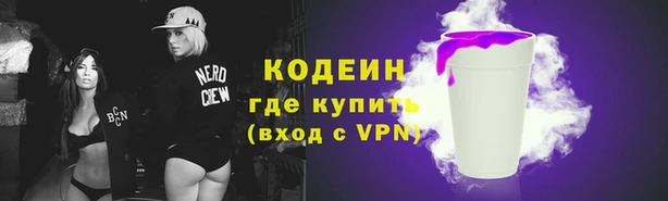 стаф Новозыбков