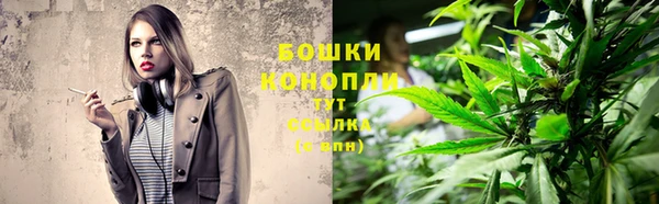 стаф Новозыбков