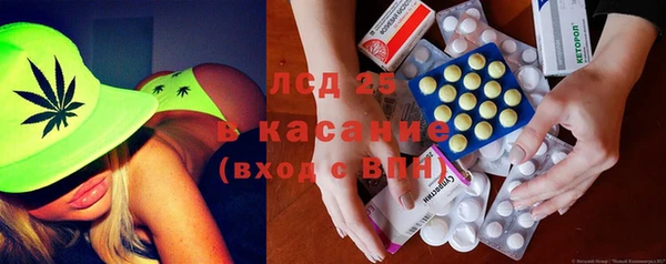 стаф Новозыбков
