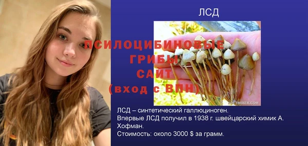 трава Новокубанск