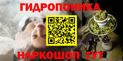 скорость Берёзовский