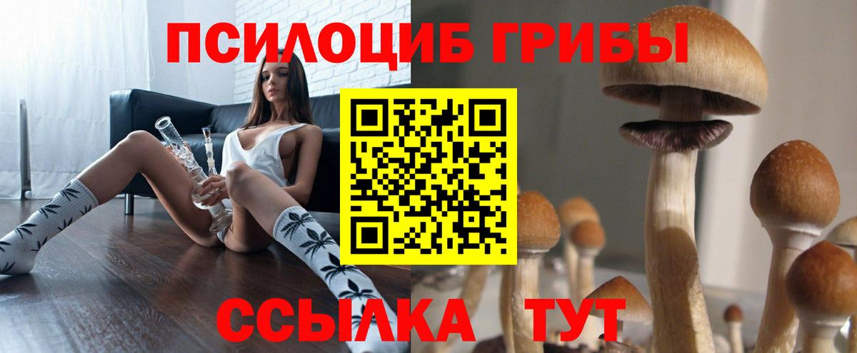 Галлюциногенные грибы ЛСД  купить наркоту  Луга 
