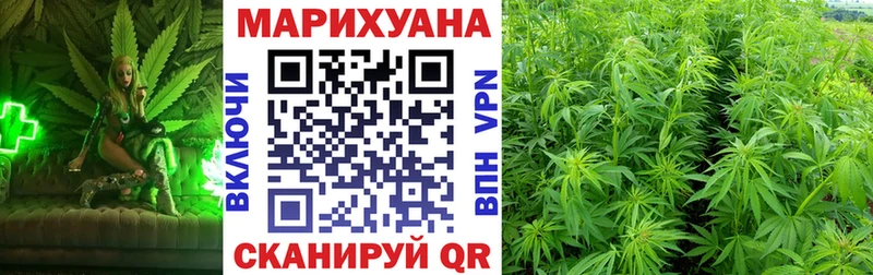 Каннабис конопля  Луга 